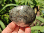 Polished Rare Pharaoh Stone Pyrite in Basalt Palm Stones x 6 Iron Duke Mine, Zimbabwe - Toprock Gemstones and Minerals 