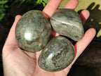Polished Rare Pharaoh Stone Pyrite in Basalt Palm Stones x 6 Iron Duke Mine, Zimbabwe - Toprock Gemstones and Minerals 