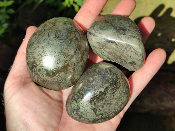 Polished Rare Pharaoh Stone Pyrite in Basalt Palm Stones x 6 Iron Duke Mine, Zimbabwe
