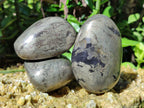 Polished Rare Pharaoh Stone Pyrite in Basalt Palm Stones x 6 Iron Duke Mine, Zimbabwe - Toprock Gemstones and Minerals 