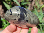 Polished Rare Pharaoh Stone Pyrite in Basalt Palm Stones x 6 Iron Duke Mine, Zimbabwe - Toprock Gemstones and Minerals 