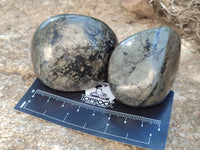 Polished Rare Pharaoh Stone Pyrite in Basalt Palm Stones x 6 Iron Duke Mine, Zimbabwe