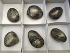 Polished Rare Pharaoh Stone Pyrite in Basalt Palm Stones x 6 Iron Duke Mine, Zimbabwe - Toprock Gemstones and Minerals 