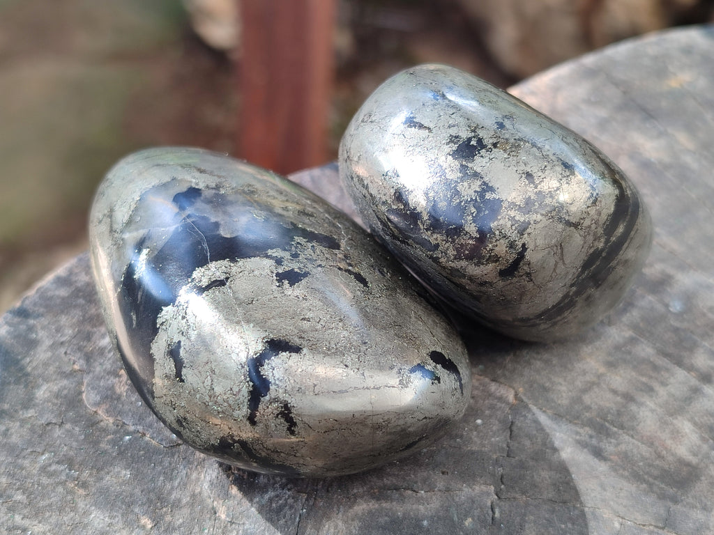Polished Rare Pharaoh Stone Pyrite in Basalt Palm Stones x 6 Iron Duke Mine, Zimbabwe - Toprock Gemstones and Minerals 