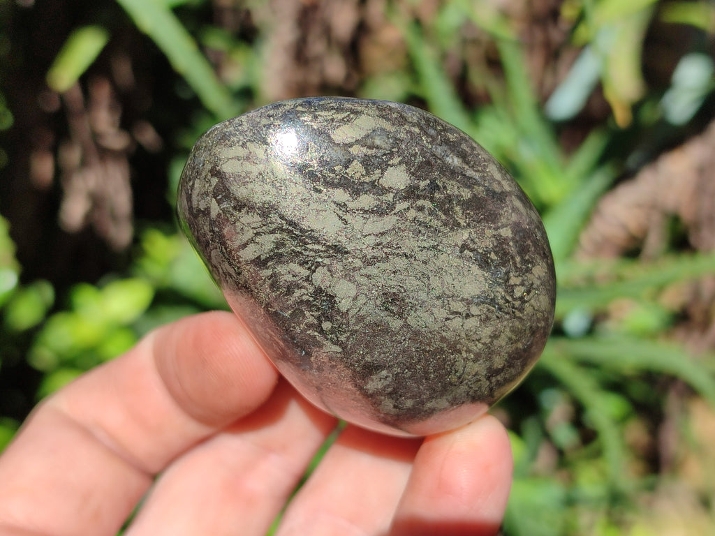 Polished Rare Pharaoh Stone Pyrite in Basalt Palm Stones x 6 Iron Duke Mine, Zimbabwe - Toprock Gemstones and Minerals 