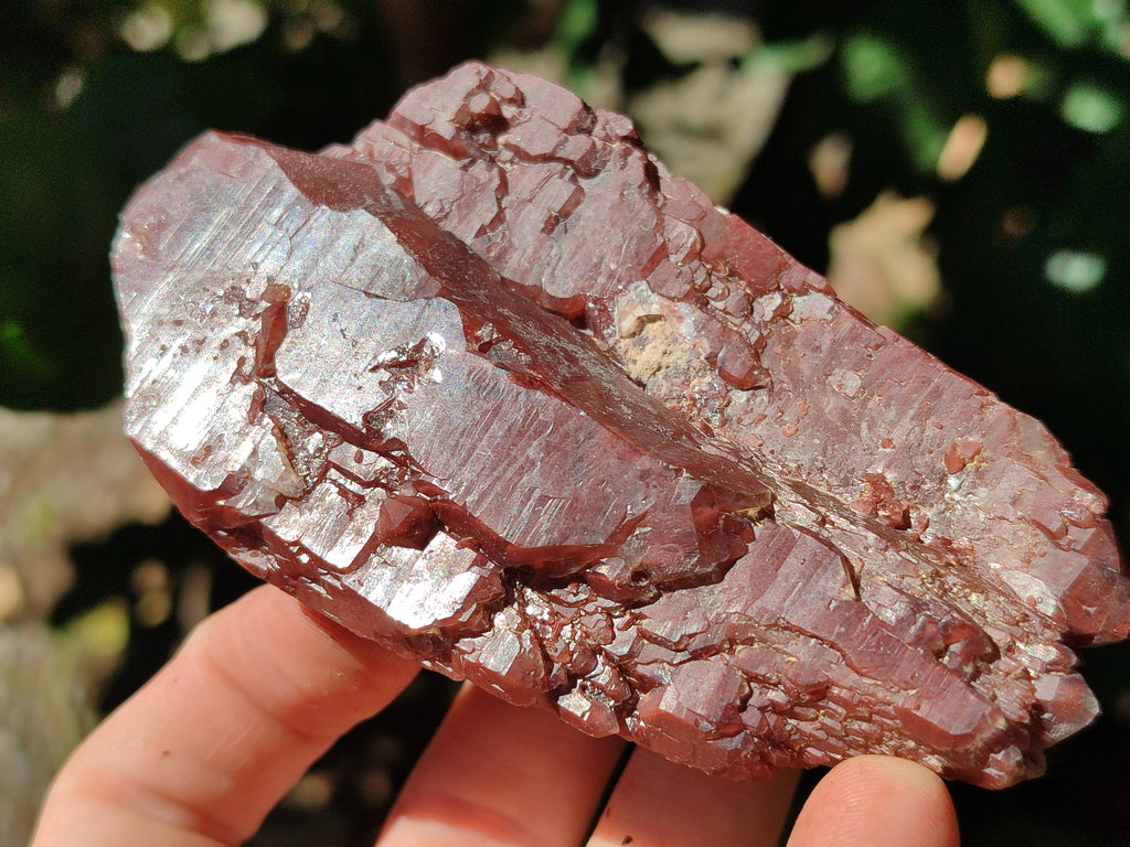 Natural Red Hematoid Quartz Clusters x 6 From Karoi, Zimbabwe - Toprock Gemstones and Minerals 