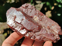 Natural Red Hematoid Quartz Clusters x 6 From Karoi, Zimbabwe