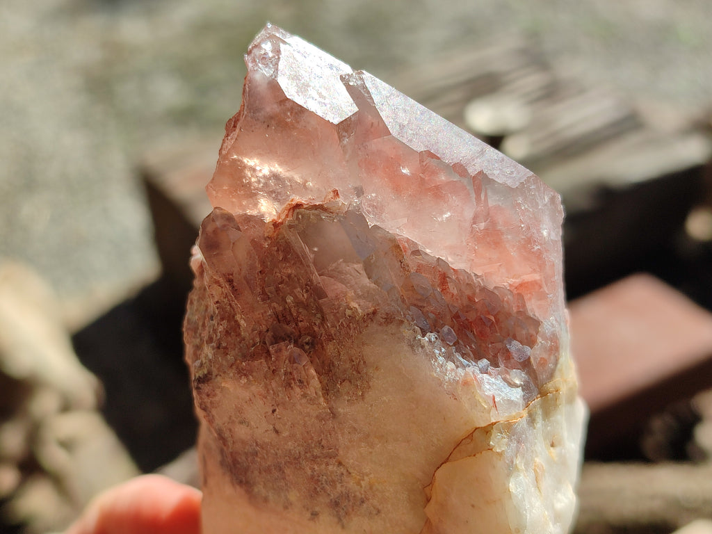 Natural Red Hematoid Quartz Clusters x 6 From Karoi, Zimbabwe - Toprock Gemstones and Minerals 