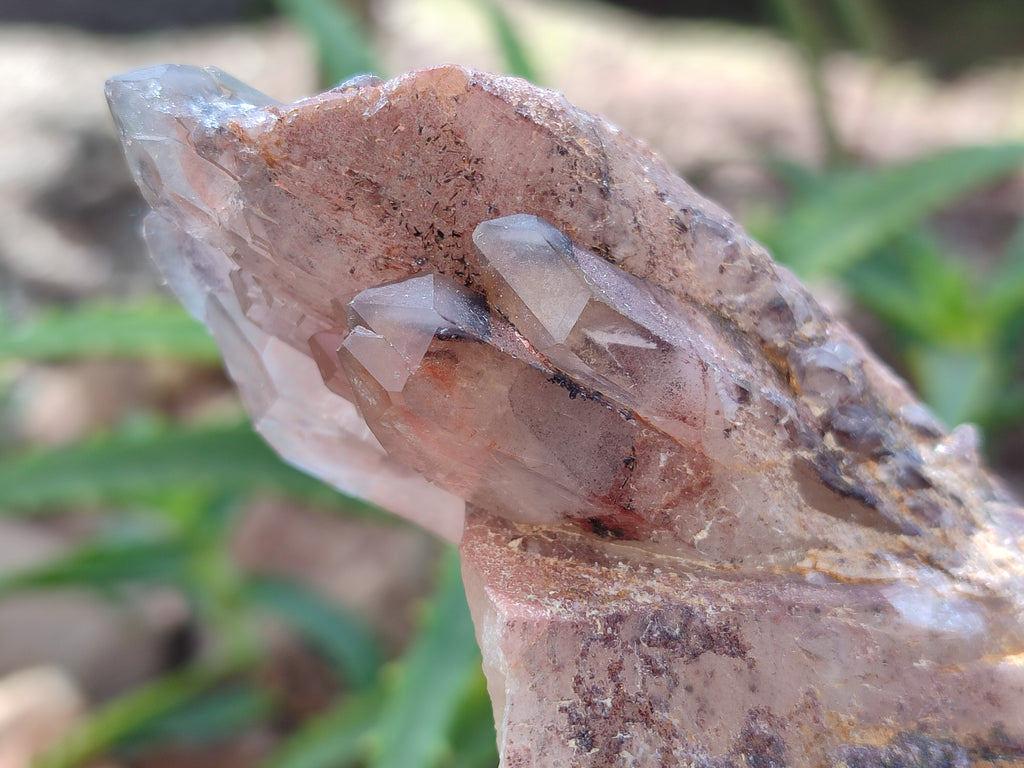 Natural Red Hematoid Quartz Clusters x 6 From Karoi, Zimbabwe - Toprock Gemstones and Minerals 
