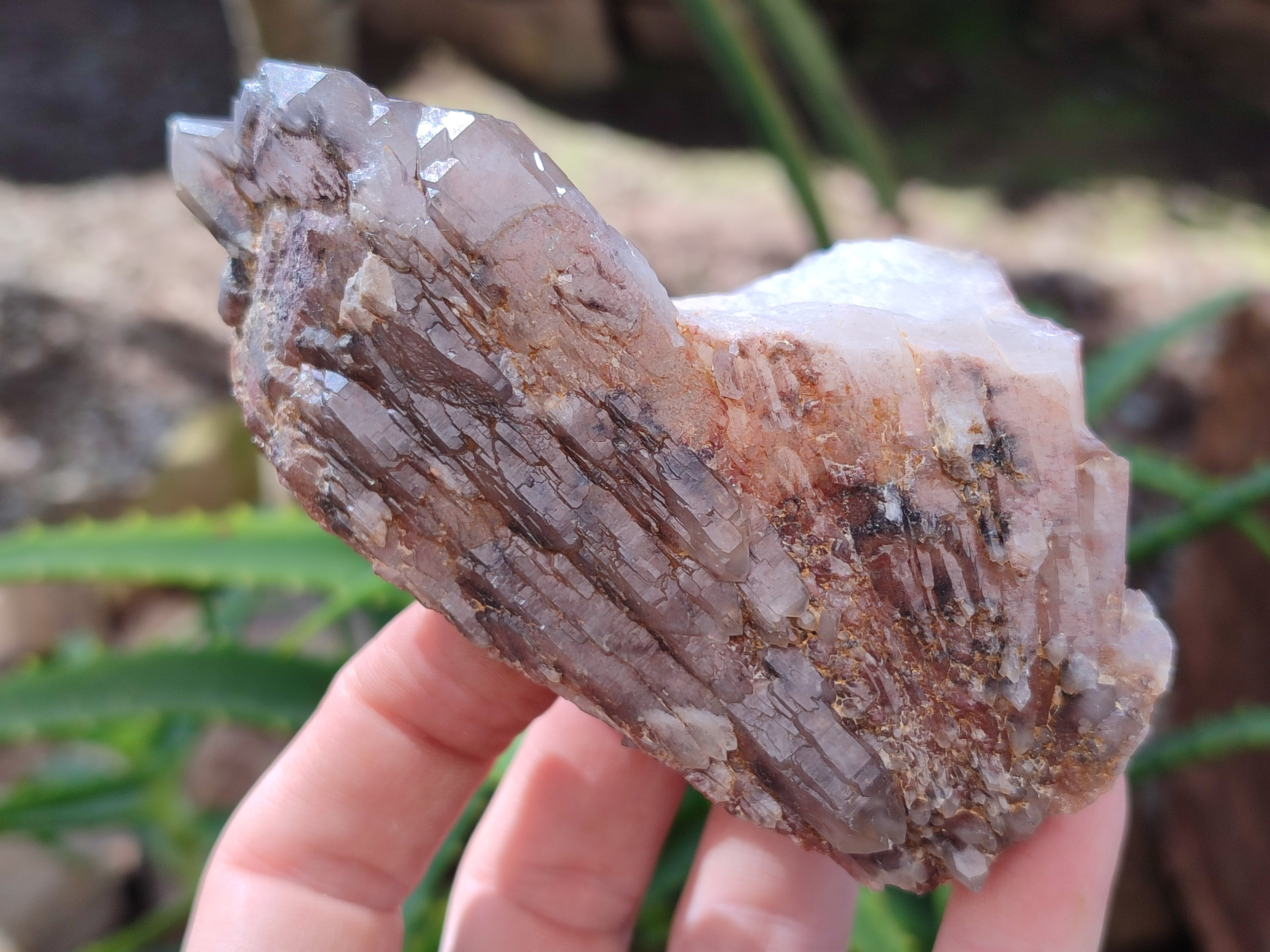 Natural Red Hematoid Quartz Clusters x 6 From Karoi, Zimbabwe - Toprock Gemstones and Minerals 