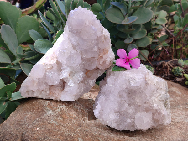 Natural Lilac Spirit Quartz Clusters x 2 From Boekenhouthoek, South Africa