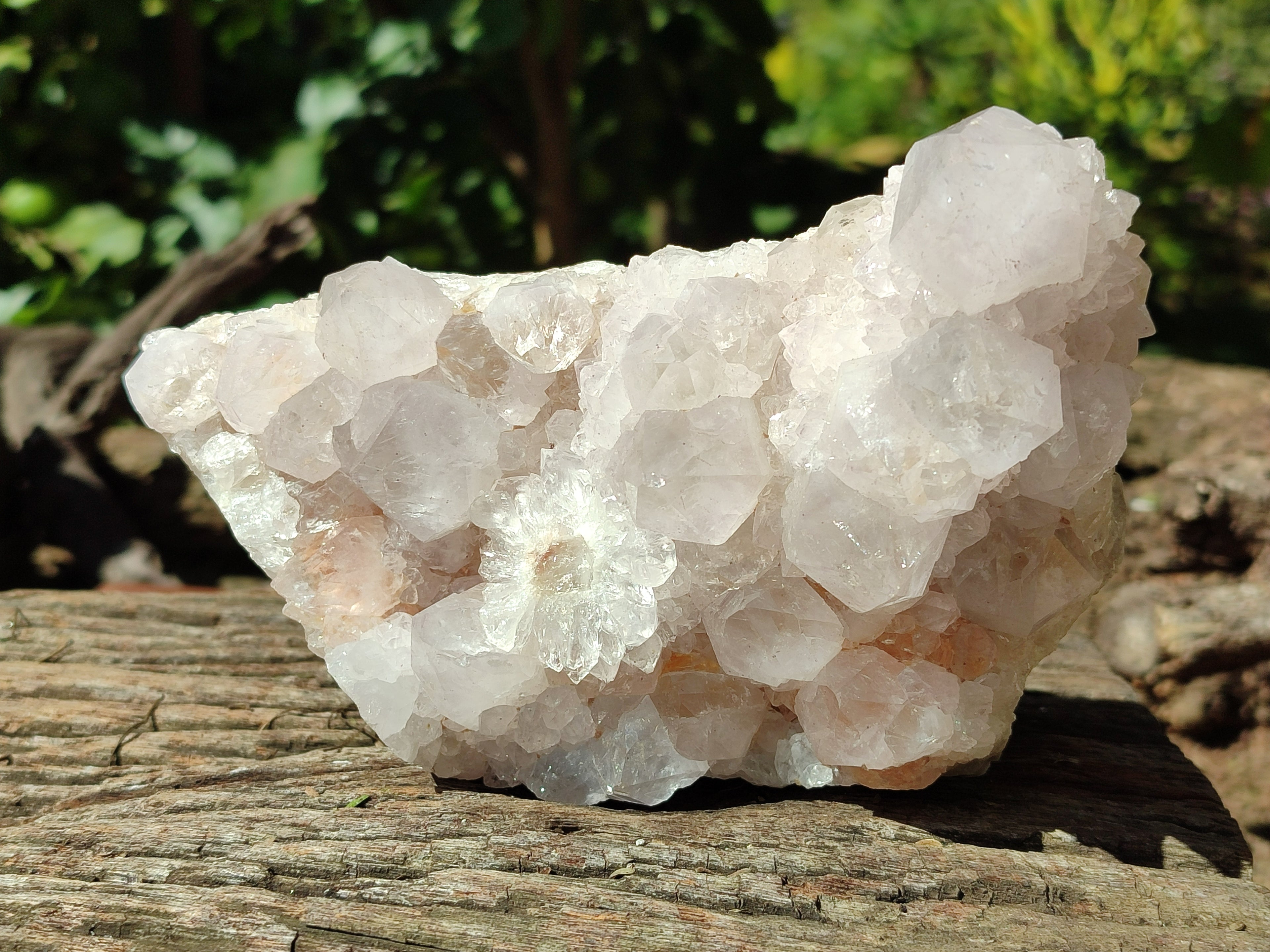 Natural Lilac Spirit Quartz Clusters x 2 From Boekenhouthoek, South Africa - Toprock Gemstones and Minerals 