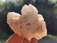 Natural White Pineapple and Candle Quartz Clusters x 9 From Madagascar
