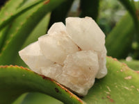 Natural White Pineapple and Candle Quartz Clusters x 9 From Madagascar