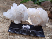Natural White Pineapple and Candle Quartz Clusters x 9 From Madagascar