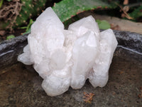 Natural White Pineapple and Candle Quartz Clusters x 9 From Madagascar
