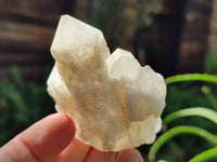 Natural White Pineapple and Candle Quartz Clusters x 9 From Madagascar