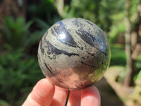 Polished Rare Pharaoh Stone Pyrite in Basalt Spheres x 6 Iron Duke Mine, Zimbabwe