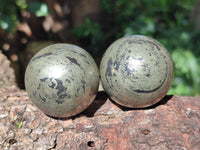 Polished Rare Pharaoh Stone Pyrite in Basalt Spheres x 6 Iron Duke Mine, Zimbabwe