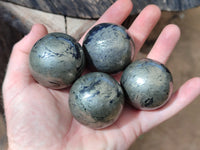 Polished Rare Pharaoh Stone Pyrite in Basalt Spheres x 6 Iron Duke Mine, Zimbabwe