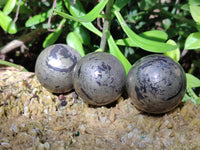 Polished Rare Pharaoh Stone Pyrite in Basalt Spheres x 6 Iron Duke Mine, Zimbabwe