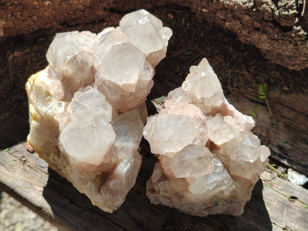 Natural Phantom Quartz Clusters x 2 From Luena, Congo