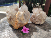 Natural Phantom Quartz Clusters x 2 From Luena, Congo