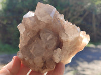 Natural Phantom Quartz Clusters x 2 From Luena, Congo