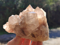 Natural Phantom Quartz Clusters x 2 From Luena, Congo