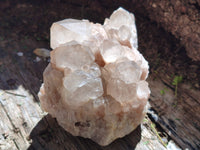 Natural Phantom Quartz Clusters x 2 From Luena, Congo