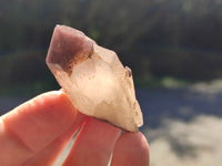 Natural Red Hematoid Quartz Clusters x 35 From Karoi, Zimbabwe