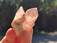 Natural Red Hematoid Quartz Clusters x 35 From Karoi, Zimbabwe
