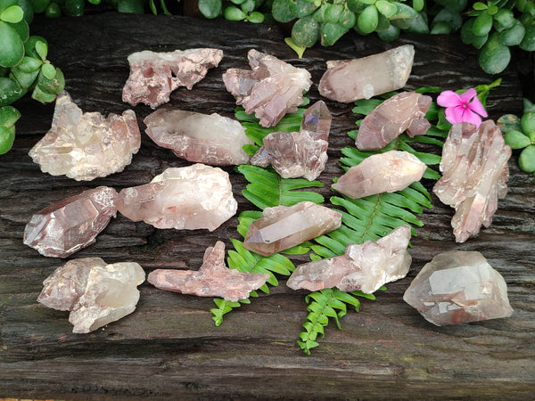 Natural Red Hematoid Quartz Clusters x 35 From Karoi, Zimbabwe