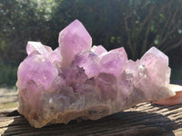 Natural Large Jacaranda Amethyst Quartz Clusters x 1 From Mumbwa, Zambia