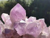 Natural Large Jacaranda Amethyst Quartz Clusters x 1 From Mumbwa, Zambia