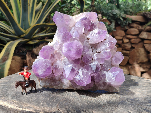 Natural Large Jacaranda Amethyst Quartz Clusters x 1 From Mumbwa, Zambia