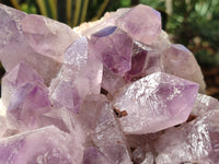 Natural Large Jacaranda Amethyst Quartz Clusters x 1 From Mumbwa, Zambia