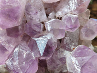Natural Large Jacaranda Amethyst Quartz Clusters x 1 From Mumbwa, Zambia