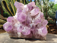 Natural Large Jacaranda Amethyst Quartz Clusters x 1 From Mumbwa, Zambia