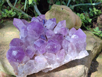 Natural Large Jacaranda Amethyst Quartz Clusters x 1 From Mumbwa, Zambia