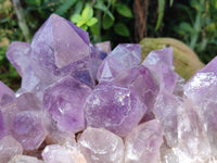Natural Large Jacaranda Amethyst Quartz Clusters x 1 From Mumbwa, Zambia