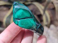 Polished Flower Banded Malachite Free Forms x 6 From Congo
