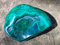 Polished Flower Banded Malachite Free Forms x 6 From Congo