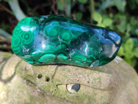 Polished Flower Banded Malachite Free Forms x 6 From Congo