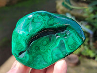 Polished Flower Banded Malachite Free Forms x 6 From Congo