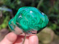 Polished Flower Banded Malachite Free Forms x 6 From Congo