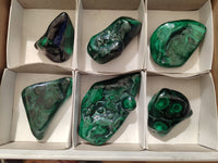 Polished Flower Banded Malachite Free Forms x 6 From Congo