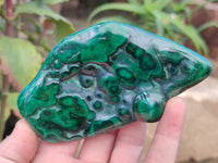 Polished Flower Banded Malachite Free Forms x 6 From Congo