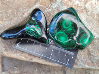 Polished Flower Banded Malachite Free Forms x 6 From Congo