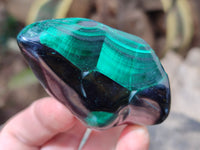 Polished Flower Banded Malachite Free Forms x 6 From Congo